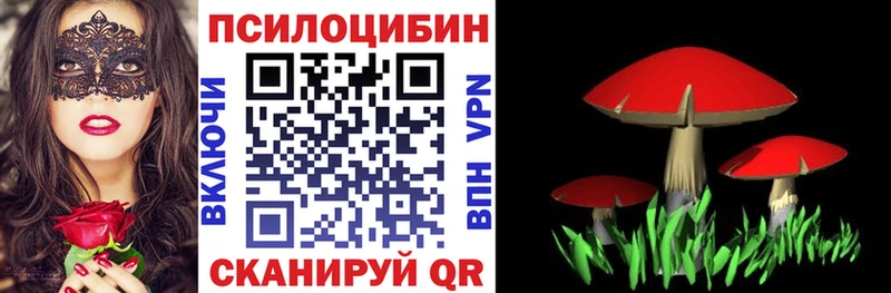 где найти   Петухово  Псилоцибиновые грибы прущие грибы 